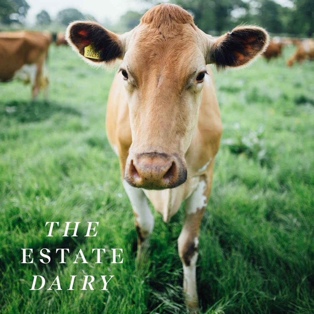 The Estate Dairy | Unhomogenised & Cultured Dairy