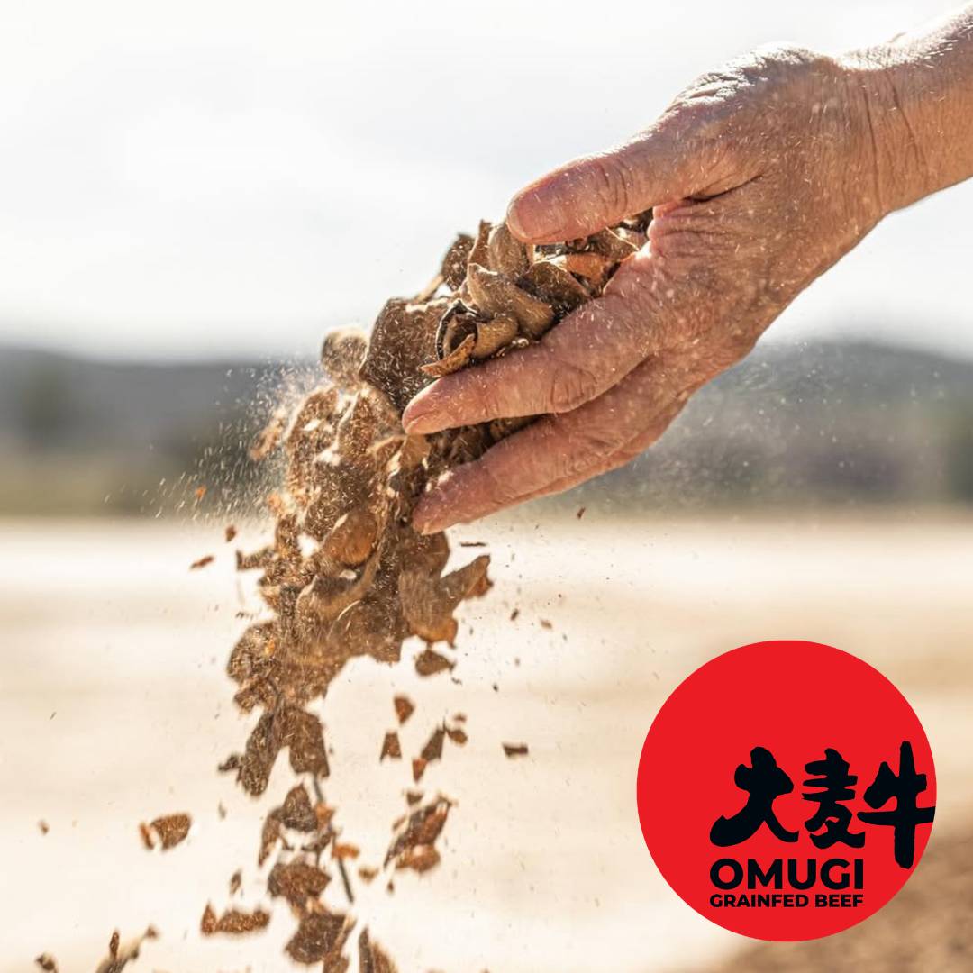 Omugi | Premium Australian Grainfed Beef